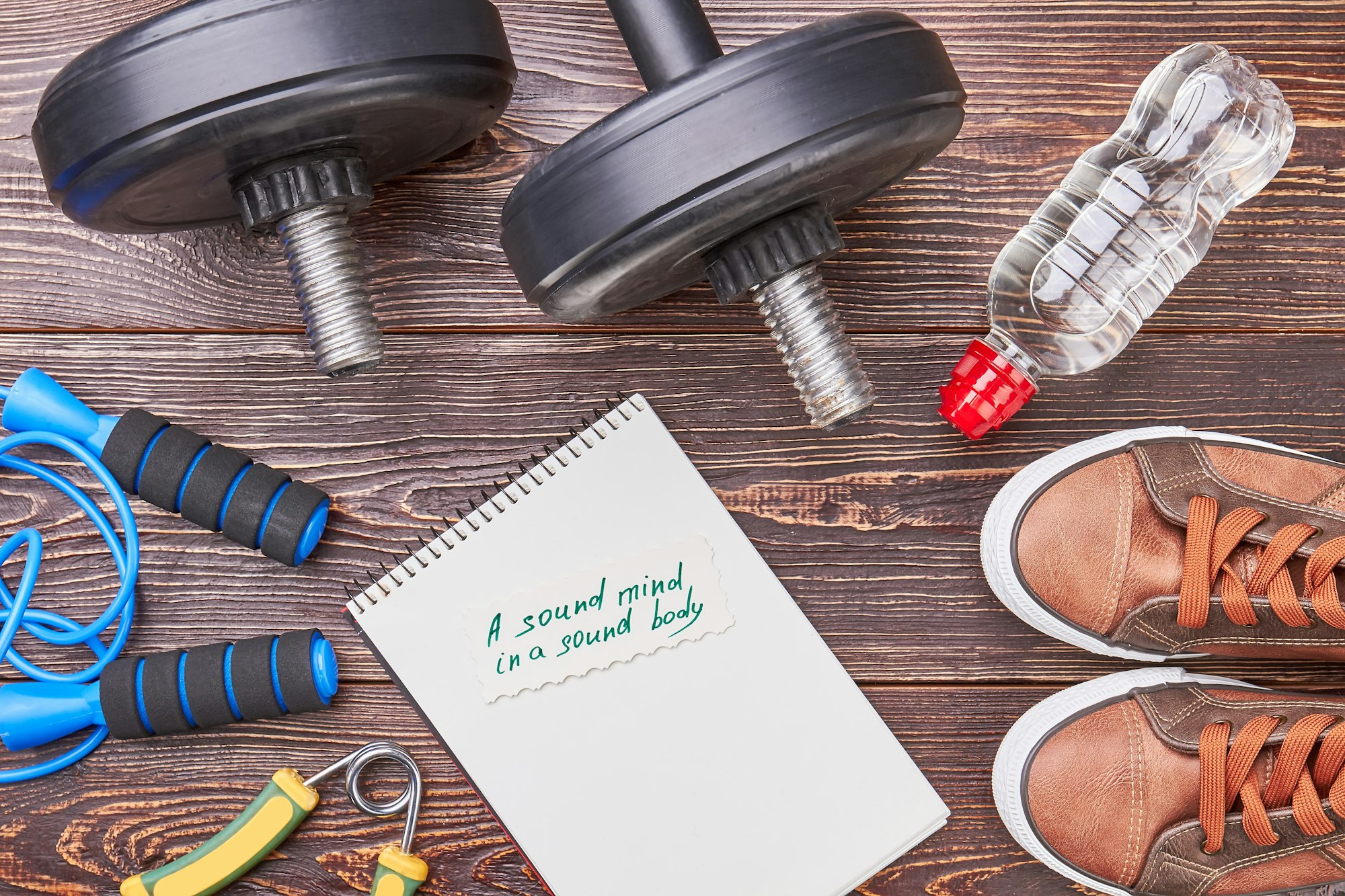 sound mind in sound body