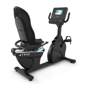 Performance Series Recumbent Bike