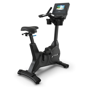Performance Series Upright Bike